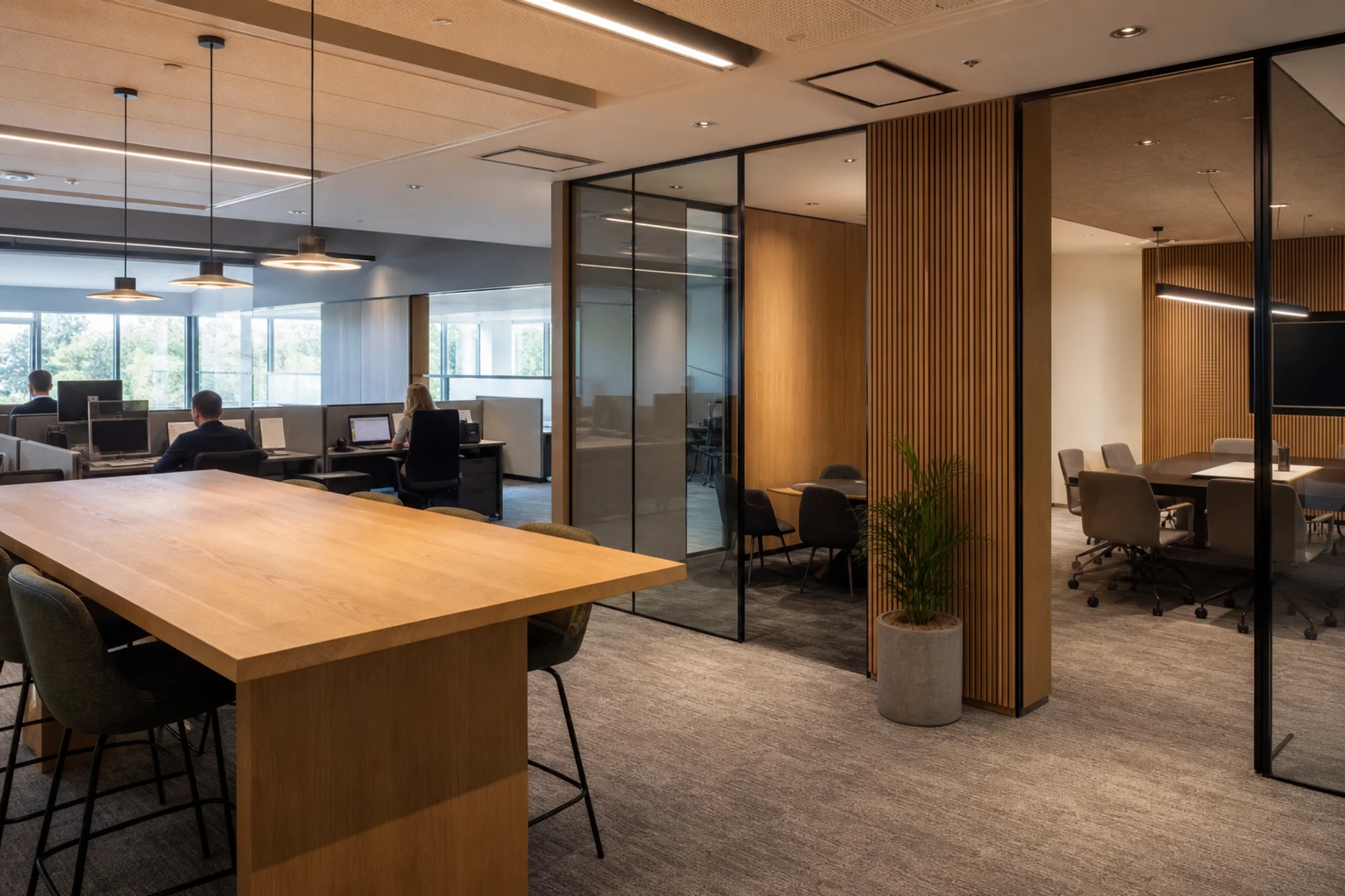 Contemporary workplace with warm timber, glazed meeting rooms, and integrated lighting